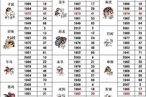 2028年五行属什么|2028年属什么生肖